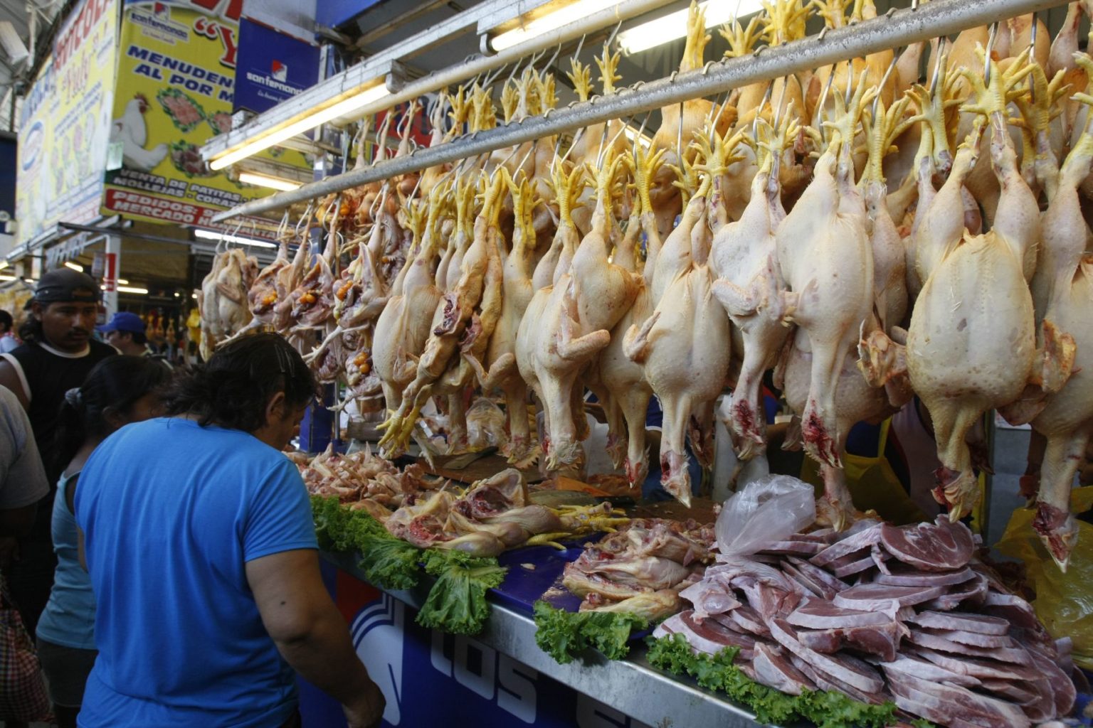 Proyectan que el precio del pollo volverá a bajar en los siguientes